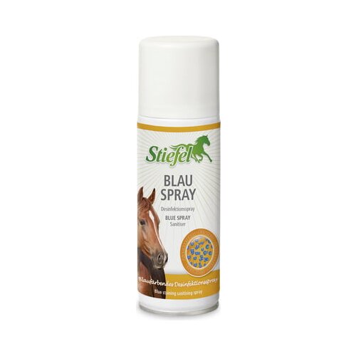 Stiefel Blauspray Slike