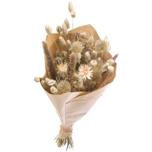 Plant in a Box posušeno cvetje - bouquet 'trendy classic' - šopek, (21758365) Cene