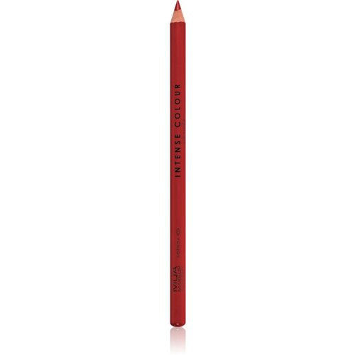 MUA Makeup Academy Intense Colour natančni svinčnik za ustnice odtenek Agenda 1,5 g Cene