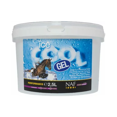 Ice Cool Gel - 2,50 l