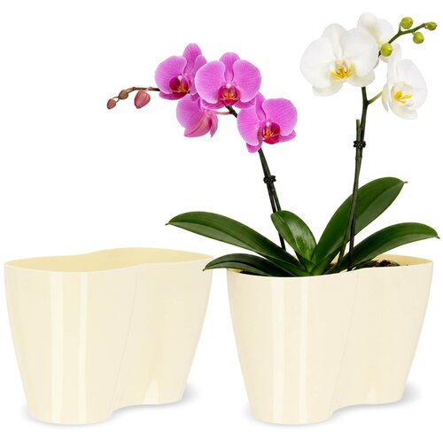 KADAX cvetlični lonec, cvetlični lonec, plastični cvetlični lonec, orhideja, 23 cm, krem, (5000346046) Cene