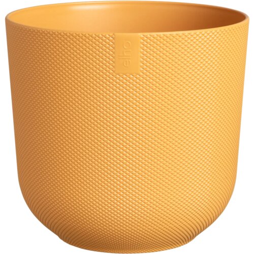  Jazz rund 30 cm - jantarno rumena Cene