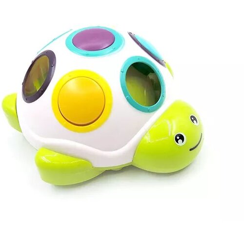  Želva za razvrščanje barv Cene