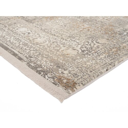Dieter Knoll TKANA PREPROGA Avignon 120/180 cm siva, zlate barve Slike