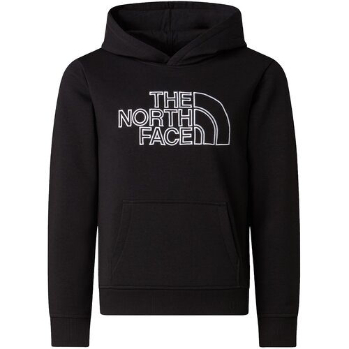 The North Face Jr Drew Peak Light Reg Hoodie duks Cene