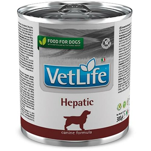  vetlife dog gastrointestinal 300g Cene
