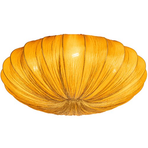QAZQA Dizajnerska stropna svetilka zlata 60 cm 5 luči - Plu Cene