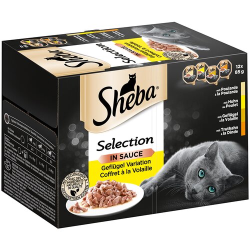Sheba Varčno pakiranje različice pladnji 144 x 85 g - Selection in Sauce Slike