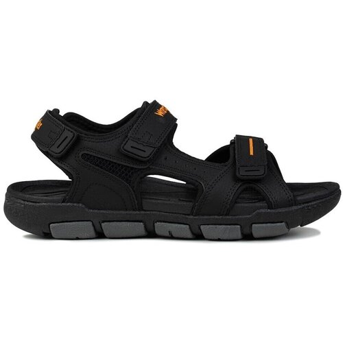 Wrangler Nizki čevlji Buster pisana Slike