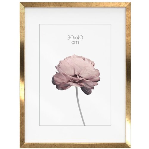 Styler Okvir 32x42 cm Prague - Slike