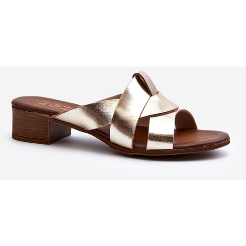 Kesi Zazoo Women's leather slippers with low heels, gold Cene
