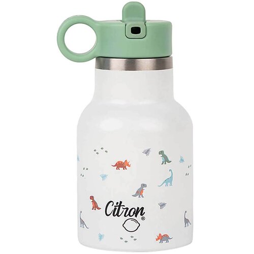 Citron steklenička za vodo 250 ml dino original collection Cene