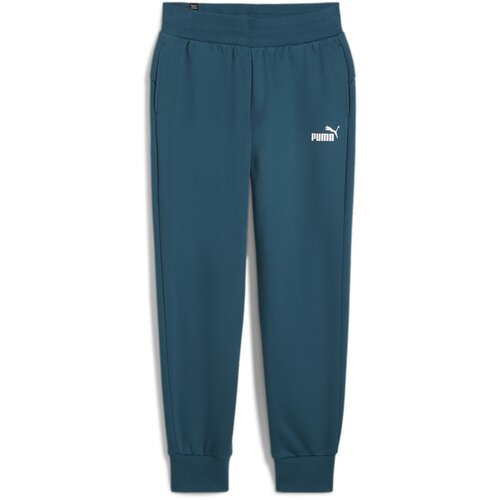 Puma donji deo trenerke za dečake ess sweatpants fl cl (s) w Cene