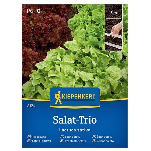 KIEPENKERL Zelenjavna semena Solata Trio (Lactuca sativa, Čas žetve: Maj) Cene