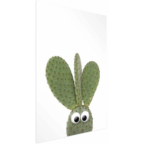  Plakat Eared Cactus 60x90 Cijene