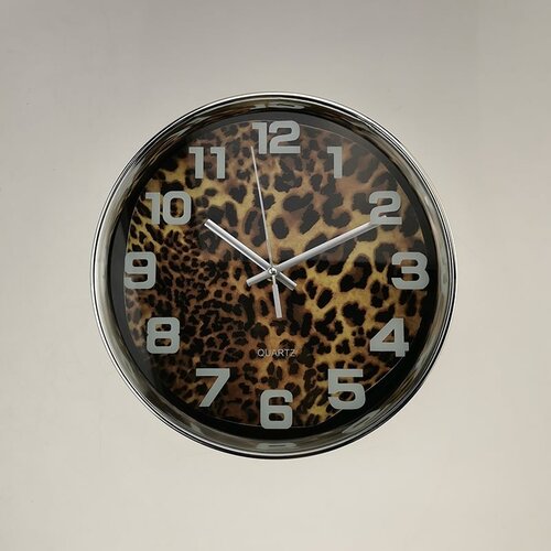Sat Leopard manji 140578 Slike