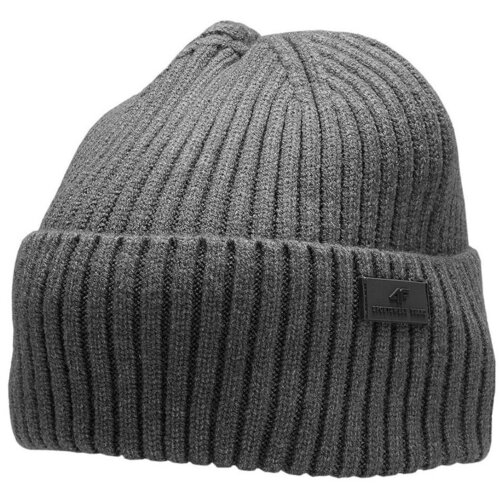 4f Kape H4Z22CAM00324M Siva Cene