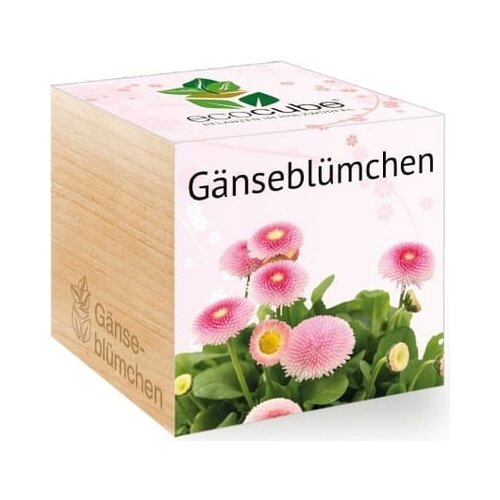 Feel Green ecocube "Marjetice" Cene