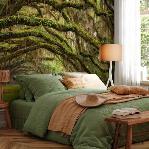  Foto tapeta - Tree embrace 500x350 Cene