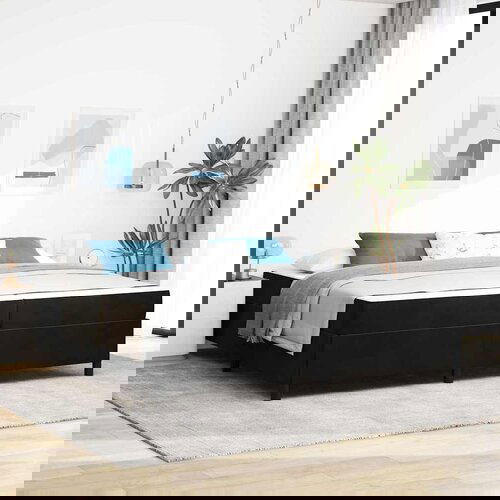 vidaXL Konstrukcija postelje Črna in bela in črna 200 x 200 cm Žamet Cene