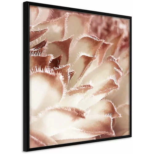  Poster - Floral Calyx 20x20