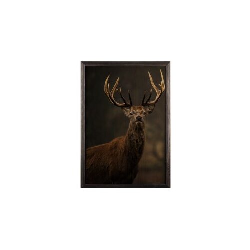 Wallity slika stag horn, 50 x 70 cm Cene