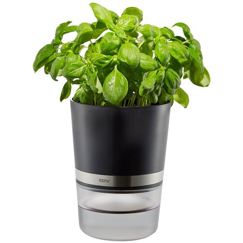 Gefu BOTANICO Herb pot Freestanding Plastic, Stainless steel Black Slike