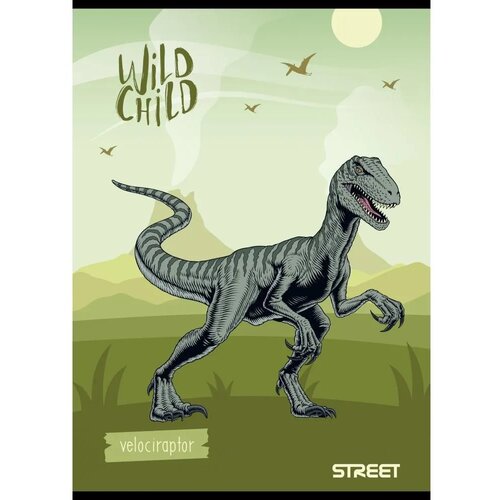 STREET Zvezek Dinosaurs A4 karo Slike