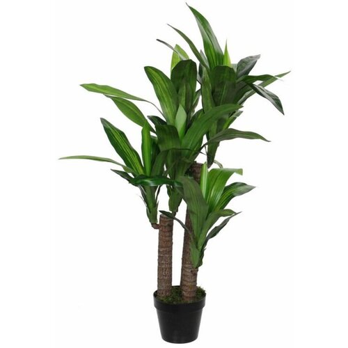 Drvo u saksiji DRACAENA 150cm 1102068 - EDL Slike