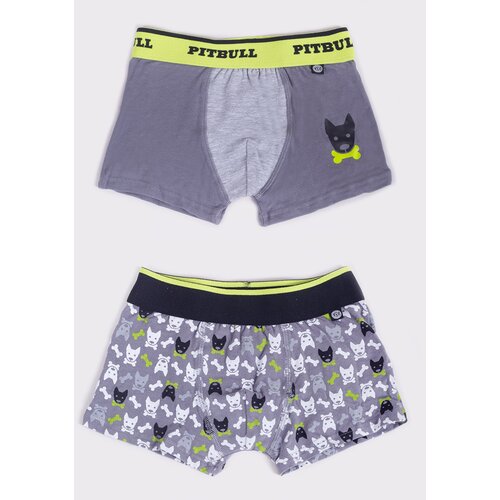 Yoclub Kids&amp;#039;s 2Pack Boy&amp;#039;s Boxer Briefs BMB-0018C-AA30 Slike