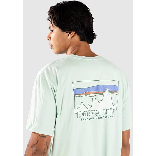 Patagonia 73 Skyline Organic T-shirt rinsed green Cene