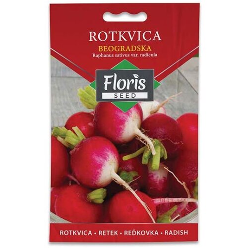 Floris seme povrće-rotkvica beogradska 2g FL Cene