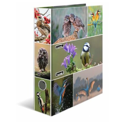Herma Registrator Animal world Birds 285x315x70mm šareni Cene