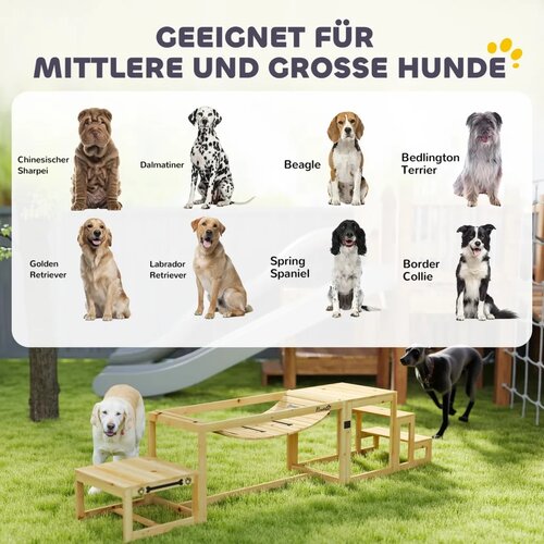  Agility set za pse konstrukcija za dresuru pasa s mostom stepenicama platformom od jelovine za velike pse do 40 kg Slike