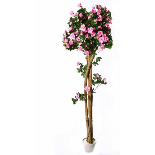 Lilium dekorativno stablo azeleje 130cm GF178482 Slike