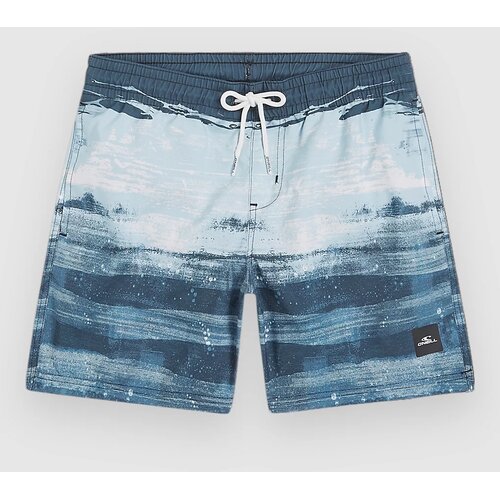 O'neill Cali Gradient 14" Kids Boardshorts blue melted stripe boys Cene