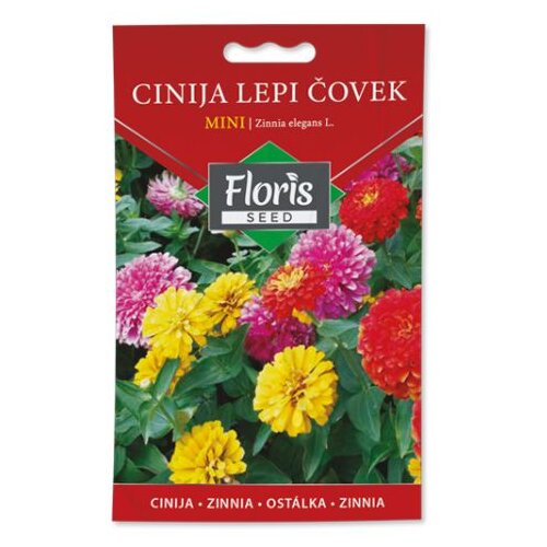 Floris seme cveće-cinija lepi čovek - mini 05g FL Slike