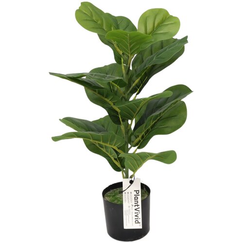 BZ 55Cm Mini Umetna Fige List Fig Z 16 Temno Zelenimi Velikimi Listi Potted Umetna Rastlina Za Namizje Božična Dekoracija, (5000009115) Cene