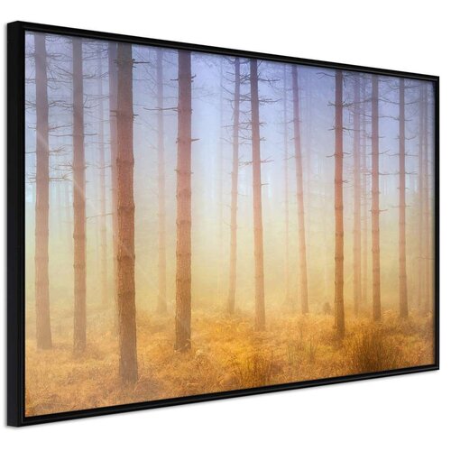  Poster - Fog or Smoke? 30x20 Cene