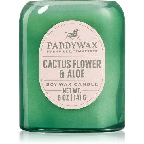 Paddywax Vista Cactus Flower & Aloe dišeča sveča 142 g