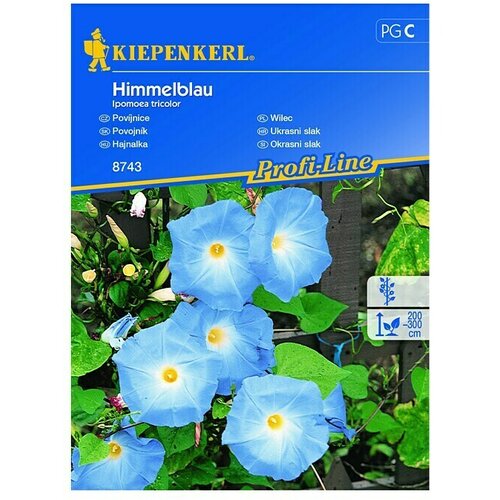 KIEPENKERL Sjeme cvijeća Ukrasni slak Himmelblau (Ipomoea tricolor, Plava, Bijela) Slike