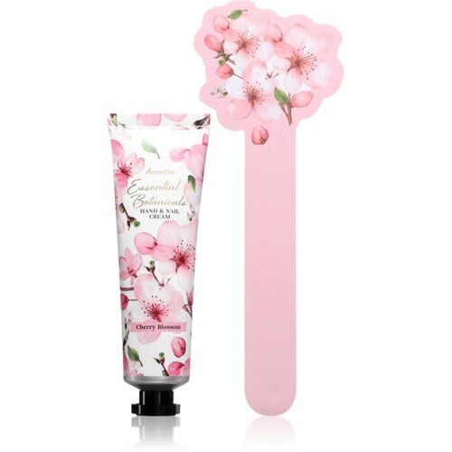 Accentra Essential Botanicals Hand &amp;amp; Nail Cream darilni set za roke in nohte 3 kos Slike