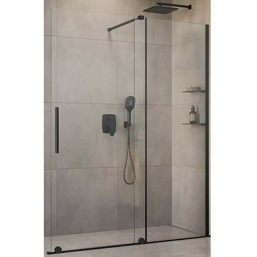 CAMARGUE Tuš stijena Milano (Š x V: 120 x 200 cm, Debljina: 8 mm, Crna) Cijene