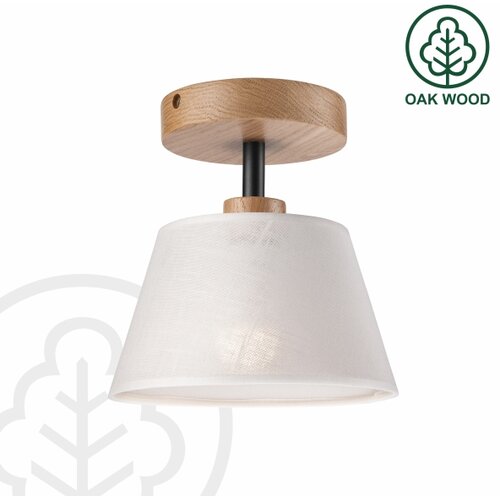  Plafonski luster ANTONIO 1xE14/60W/230V, beli Slike