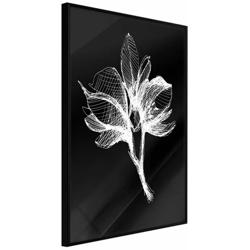  Poster - White Plant 30x45