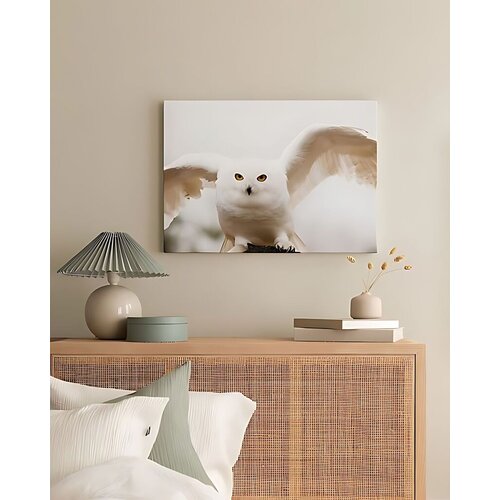 Wallity Slika Umjetnička platna63, 40x60cm Cijene