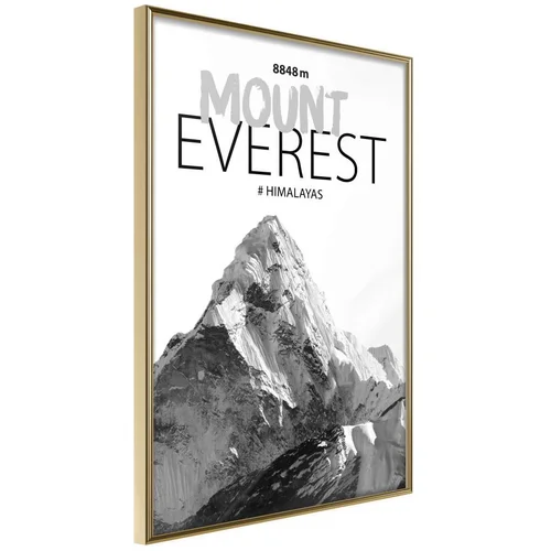  Poster - Peaks of the World: Mount Everest 30x45