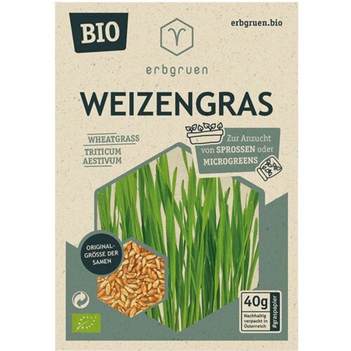  Pšenična trava - BIO semena za mikrozelenje/kalčke - 1 pkt. Cene