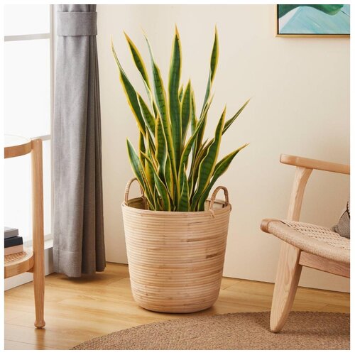 Eglo living korpa naraha 426513 Slike