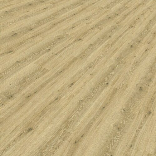  Vinilna obloga Rigid Oak Rustic (1.220 x 180 x 3,5 mm, Rustikalni pod) Cijene